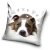 Kutyás Pit Bull Terrier Cute párnahuzat 40x40 cm