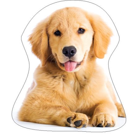 Kutyás Golden Retriver formapárna, díszpárna 35x35 cm