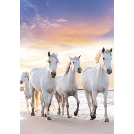 Lovas Gallop A/4 gumis mappa